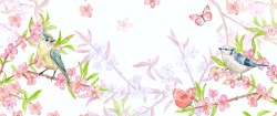 Bloemen, vogels en vlinders_215820384_ds9